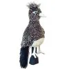 Brand Fusion Daphnes Road Runner Driver Headcover